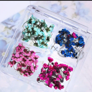 Tiny dried flowers