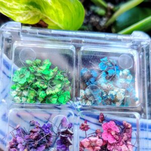 Tiny Dried Flowers #2